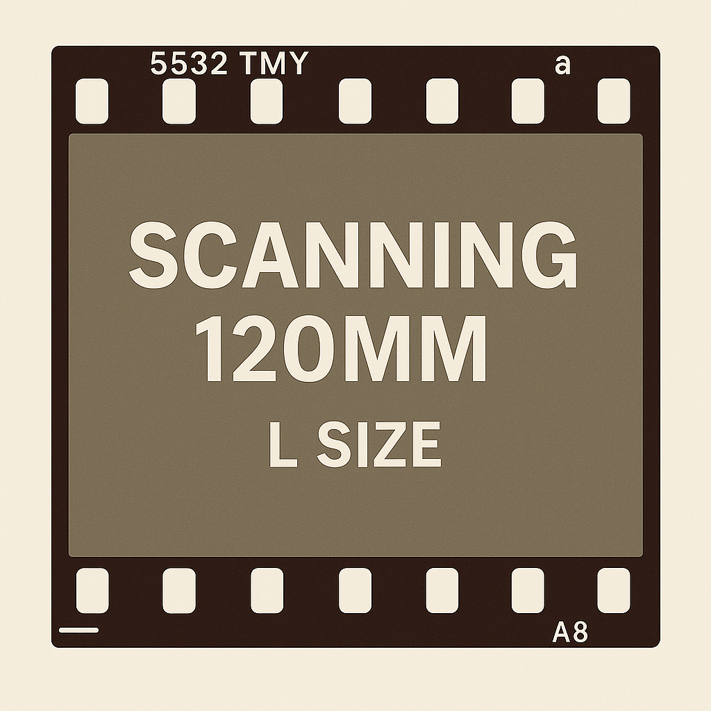 Scanning 120 L size