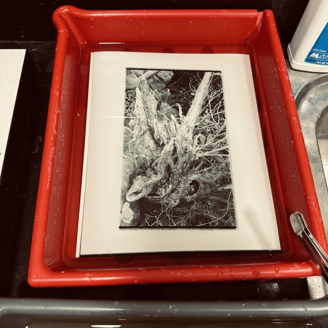 Custom Silver Gelatin Printing