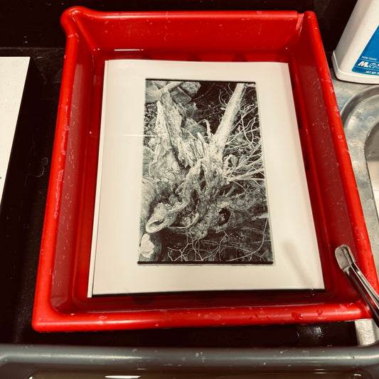Assisted Darkroom Printing